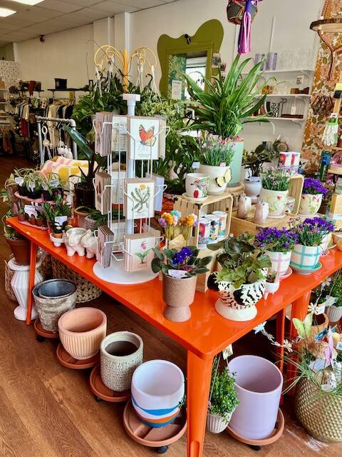 hanging plant rack Tiered Shelf Plant Hanger main image 1